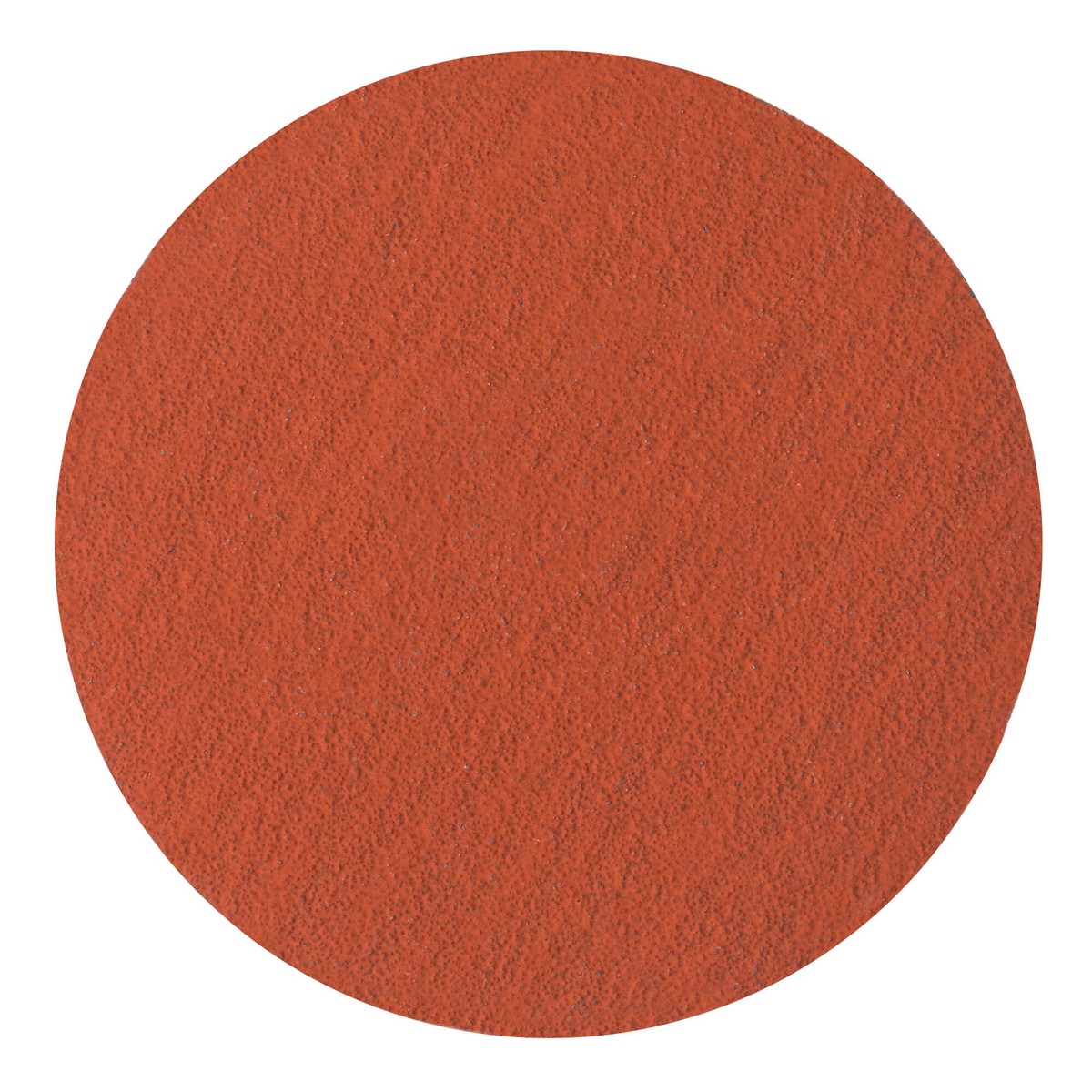 3M Roloc Fibre Disc 787C 120 TS 1-12 in Die RS150S