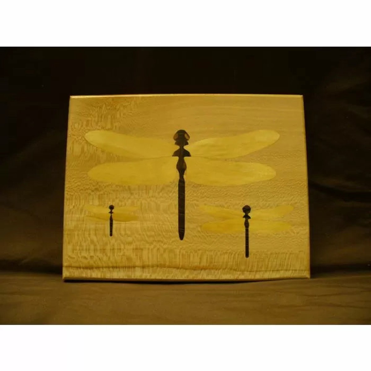 Infinity Tools Dragonfly - Multi-Layer Inlay System